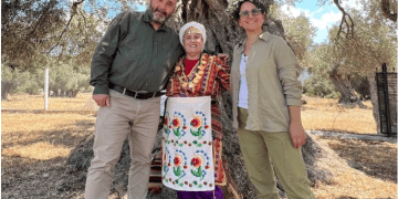 Prof. Aktürk: Türkiye Zeytinliklerini Kaybetme Riskiyle Karşı Karşıya 15 milyon zeytin ağacı tehlike altında