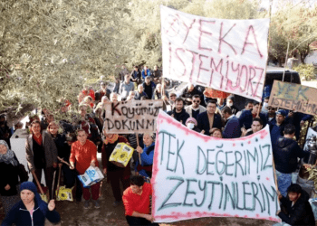 Bodrum’un 7 köyünde RES’ten kurtulma sevinci Zeytinlik ve ormanlık alanlar kurtuldu