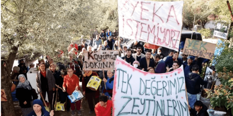 Bodrum’un 7 köyünde RES’ten kurtulma sevinci Zeytinlik ve ormanlık alanlar kurtuldu