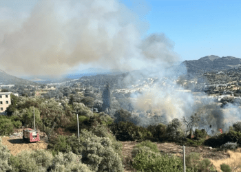 Yalıkavak yolunda yangın başladı