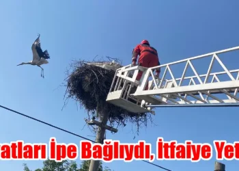 Hayatları İpe Bağlıydı, İtfaiye Yetişti