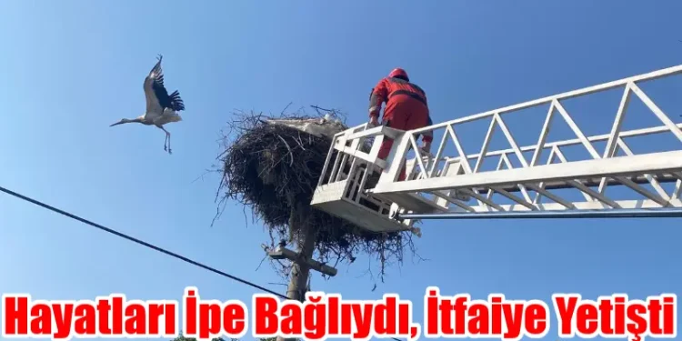 Hayatları İpe Bağlıydı, İtfaiye Yetişti