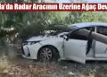 Muğla’da Radar Aracının Üzerine Ağaç Devrildi