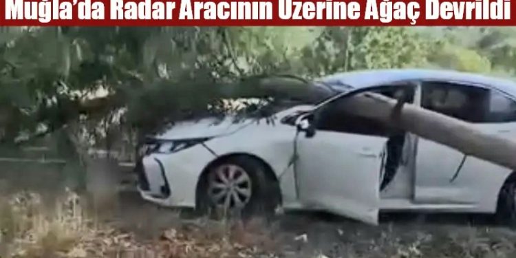 Muğla’da Radar Aracının Üzerine Ağaç Devrildi