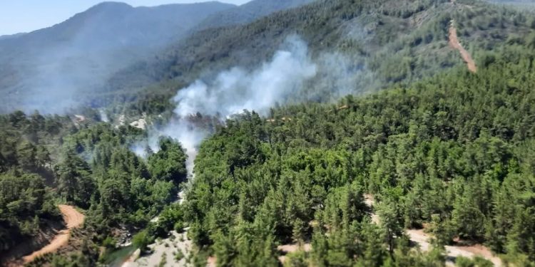 Restauranttaki baca yangını felakate yol açacaktı