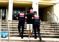 15 Yıl Hapis Cezası Bulunan Firari Bodrum’da Yakalandı