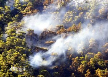 Muğla ve Aydın’da ard arda çıkan orman yangınları korkuttu