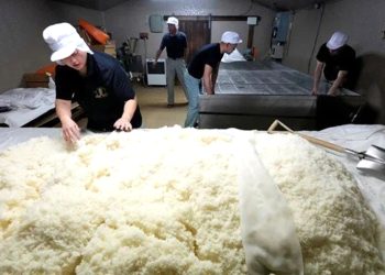 Japonya’da pirinç krizi: Stoklardan 200 bin ton çıkarılacak