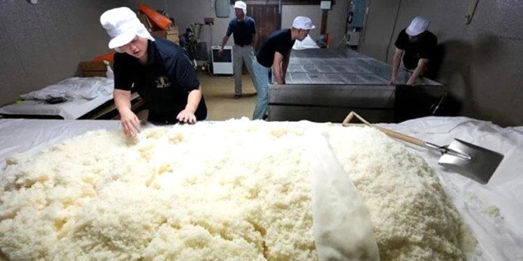 Japonya’da pirinç krizi: Stoklardan 200 bin ton çıkarılacak