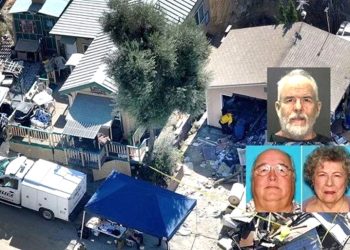 Çıplaklar kampında “sosisli” cinayeti: Komşularını parçaladı