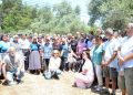 Akbelen’de Zeytin Tarlasından seslendiler “”ZEYTİNLİKLERİMİZİ RANTA ORMANLARIMIZI TALANACA AÇAKLAR”