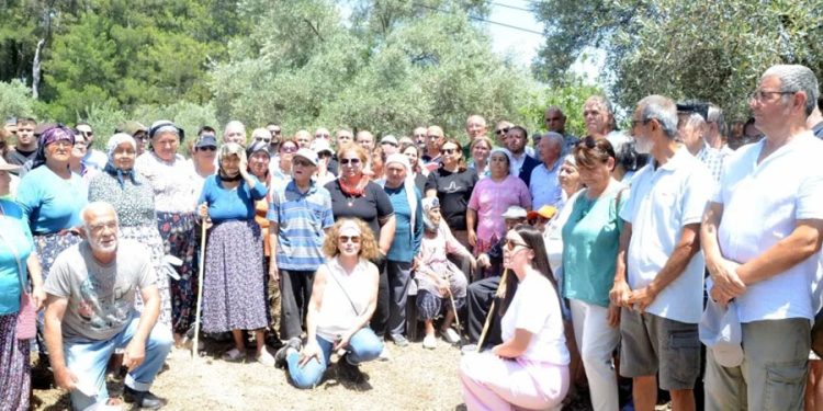 Akbelen’de Zeytin Tarlasından seslendiler “”ZEYTİNLİKLERİMİZİ RANTA ORMANLARIMIZI TALANACA AÇAKLAR”