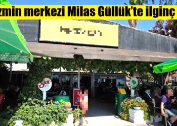Turizmin merkezi Milas Güllük’te ilginç olay