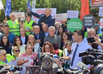 Zeytin kanun teklifi bir haftalığına ertelendi