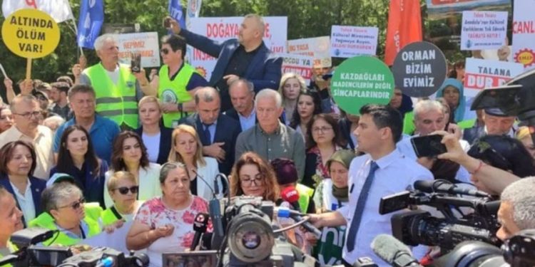 Zeytin kanun teklifi bir haftalığına ertelendi