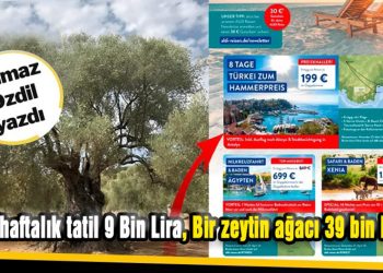 Yılmaz Özdil, Zeytin konusunu kaleme aldı