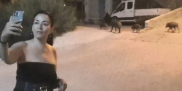 Yeni Trend: Domuzlarla Fotoğraf Çekilmek