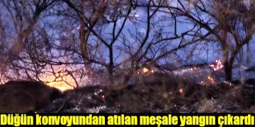 Düğün konvoyundan atılan meşale yangın çıkardı