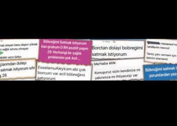 Muğlalı Sporculardan Açık Su Yüzmede Büyük Başarı