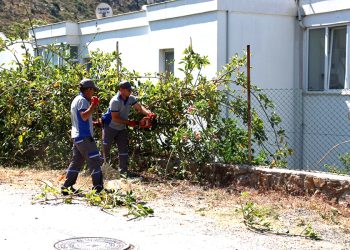 Belediyeden Çevre Temizliği Çalışmaları