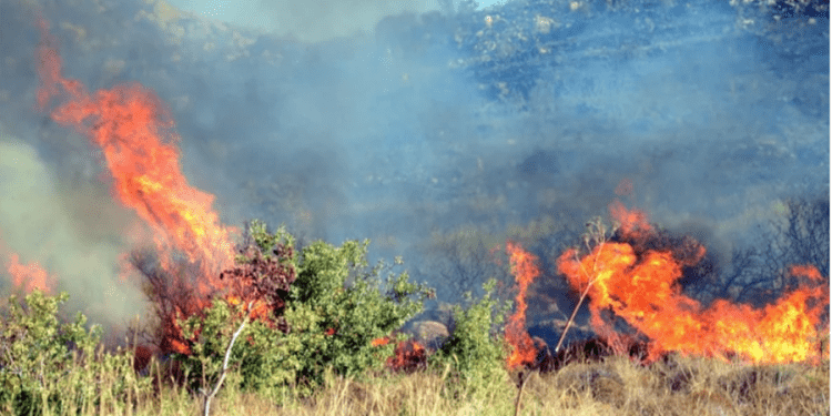 Ortakent’te makilik yangını başladı