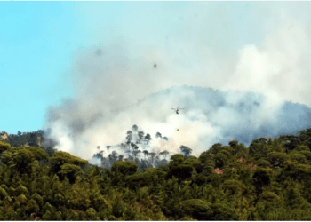 Milas ormanları alev alev Fesleğen ve Demirci’de yangın başladı