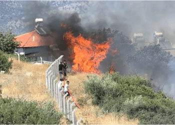 Zeytin ağaçları kül oldu evler yanmaktan son anda kurtarıldı