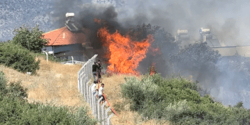 Zeytin ağaçları kül oldu evler yanmaktan son anda kurtarıldı
