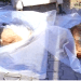 Bodrum’da kedi ve köpekleri zehirleyen kişiye 2 yıl 6 ay hapis cezası verildi