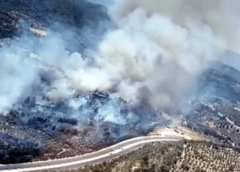 Yatağan’da antik kent yanında orman yangını