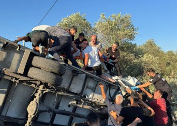 Milas’ta Kamyonet Devrildi! 1 Ölü, 1 Yaralı