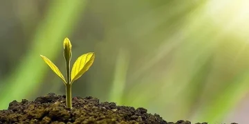 İklim Kanunu Teklifi, Meclis’te kabul edildi