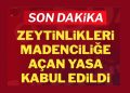 Son Dakika: Zeytinlikleri madenciliğe açan kanun kabul edildi