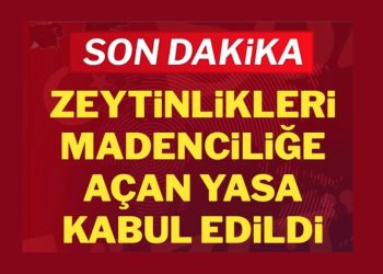 Son Dakika: Zeytinlikleri madenciliğe açan kanun kabul edildi