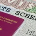 Schengen vizesine Türkler oluk oluk para akıtmış!