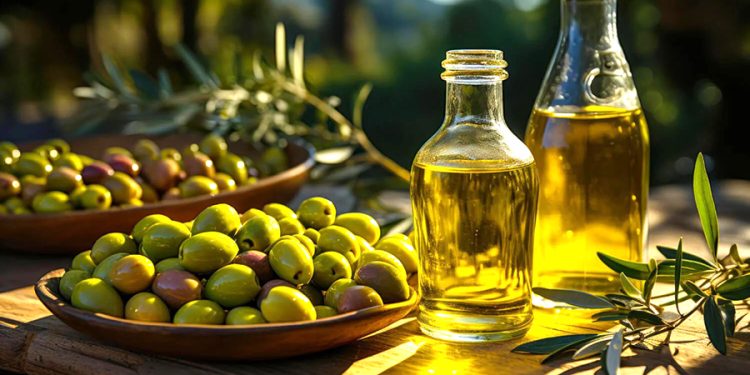 Muğla’da odalar ve borsalar zeytin yasası için ayakta