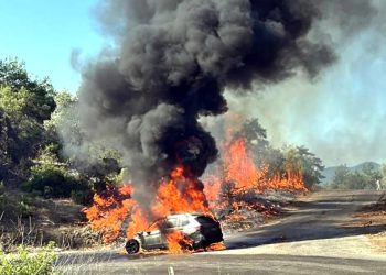 Yolda yanan araba ormanı kül etti