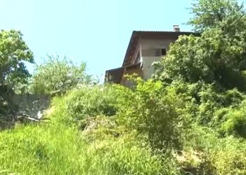 İlkel bir dil konuşan ‘Hayalet Çocuklar’ çiftlikte ortaya çıktı