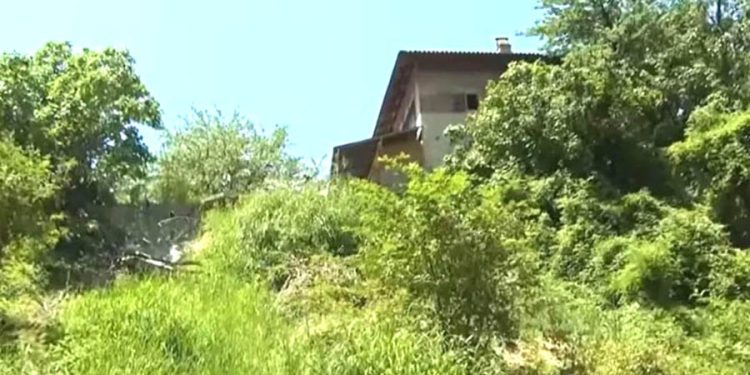 İlkel bir dil konuşan ‘Hayalet Çocuklar’ çiftlikte ortaya çıktı