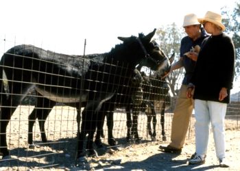 İran prensinin Eşek cenneti… Bodrum yakınlarında