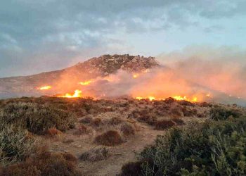 Muğla Valiliği’nden Kritik Uyarı: “Ormanlarımızı Korumak Hepimizin Sorumluluğu”