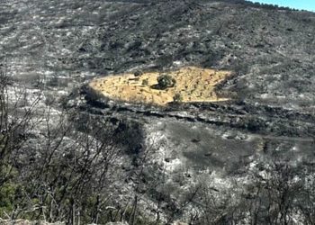 Yangın felaketinde ‘mucize’ görüntü: Bir tek o sapasağlam kaldı