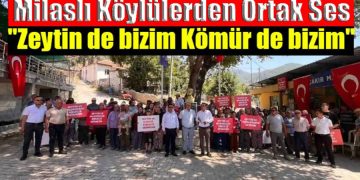 Milaslı Köylülerden Ortak Ses: “Zeytin ve Madencilik 40 Yıldır Bir Arada Yaşadı, Şimdi de Mümkün”