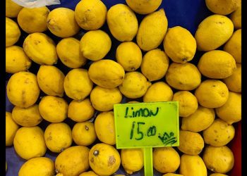 Bodrum Pazarında Şok Fiyatlar! Kiraz 600 TL, Limon 150 TL