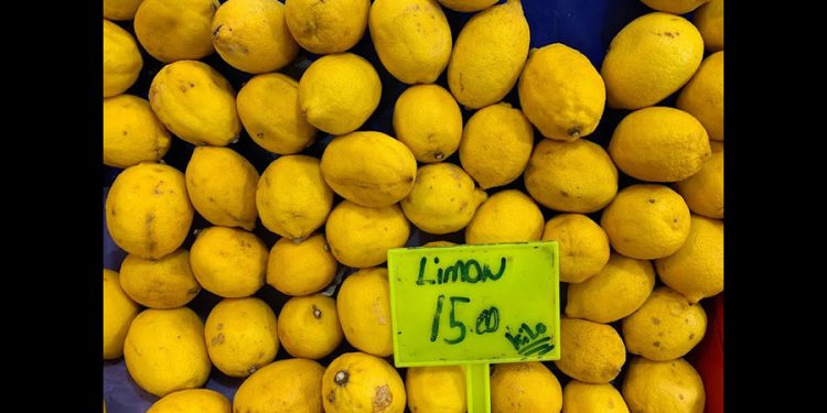 Bodrum Pazarında Şok Fiyatlar! Kiraz 600 TL, Limon 150 TL