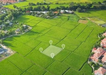 20 yıl önce işlenen cinayette tutuklu kalmadı