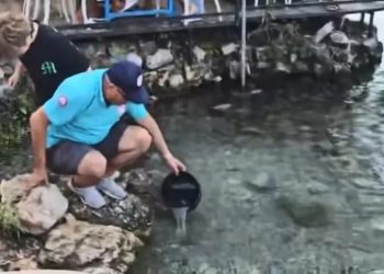 Akyaka Azmağı’na 35 Bin Levrek Bırakıldı