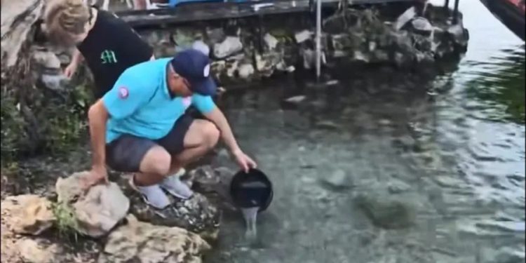 Akyaka Azmağı’na 35 Bin Levrek Bırakıldı