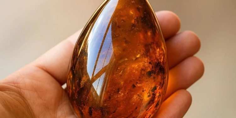 Koleksiyoncular peşine düştü: Tanesi 1 milyon liraya satılıyor, evinde olan yaşadı