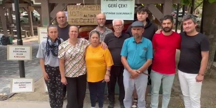 Zeytin nöbeti tutan köylülerden destek çağrısı: Vatan gidiyor, toprak talan ediliyor